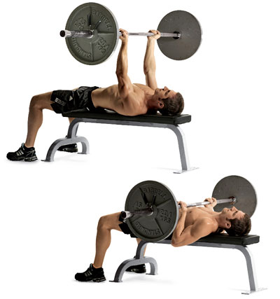 Bench on Reverse Bench Press The New Way To A Big Chest     Nafc Jamie S Blog